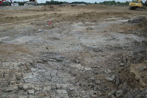 Überschwemmung als Glücksfall – Ein über 2000 Jahre alter naturheiliger Platz in Delbrück-Bentfeld